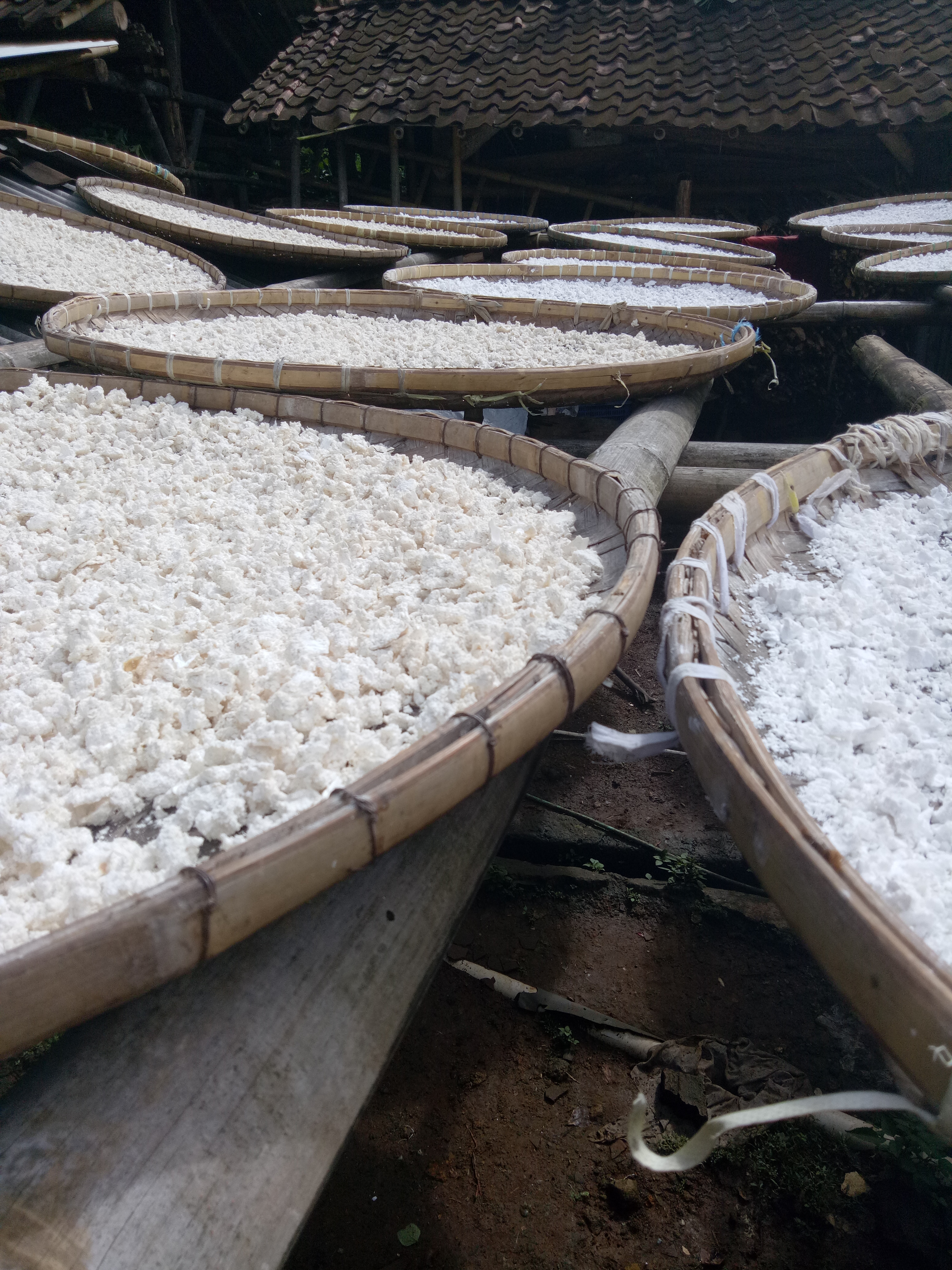 Ketahanan Pangan, Pelajaran Berharga dari Kampung Adat Cireundeu