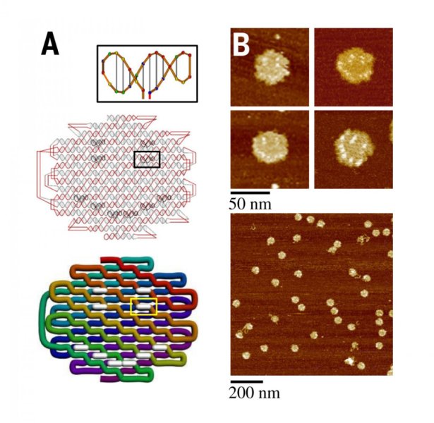 Spaghetti-Like, Bentuk Baru DNA Nanoteknologi