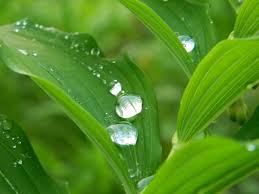 MENJERNIH KAN HATI DIMUSUHI DI TENGAH TENGAH JURNALISME M A T I