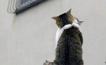 Pelukan Berdampak Dahsyat Bagi Kesehatan Fisik dan Jiwa