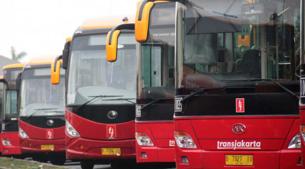 Transjakarta, sebuah solusi ?