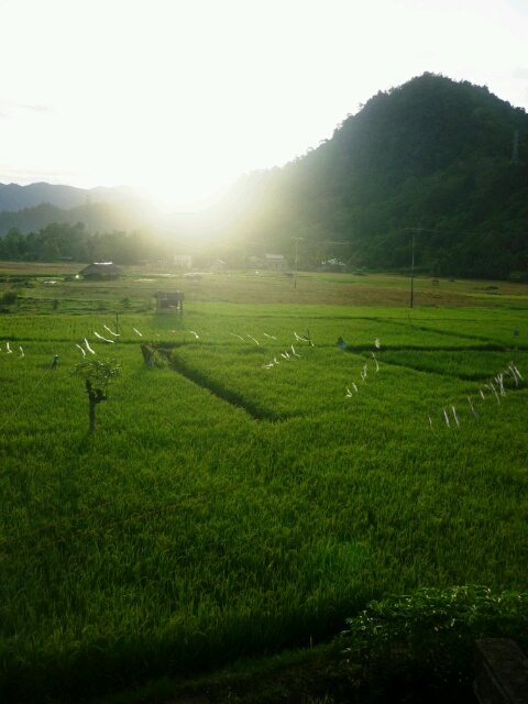Renungan pagi ini ……. Cara Allah menyayangimu
