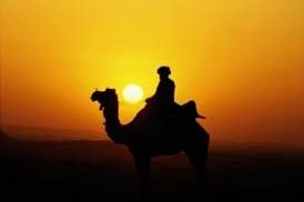 Ketika Ulama-ulama Kalian Turun Gelanggang dan Memberi Petunjuk; Kenapa Kalian Masih Ragu, WAHAI…