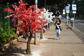 Pohon Plastik di Tengah ‘Post Truth Society