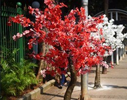 Bukan 2,2 Milyar, Bukan juga 8 Milyar! Tidak Ada Anggaran yang Keluar untuk Pohon Artifisial