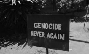 Refleksi Terhadap Toleransi Beragama