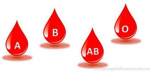 Sifat manusia berdasarkan golongan darah (secara umum)