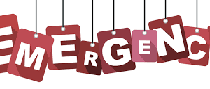 State in Emergency, Perppu, Dekrit dan Perlawanan Ummat