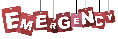 State in Emergency, Perppu, Dekrit dan Perlawanan Ummat