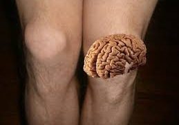 Antara dengkul dan kepala