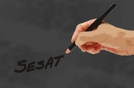 Penyesatan khas komunis