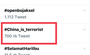 Cara Netizen Indonesia Menarik Perhatian Dunia Lewat Tagar #China_is_terrorist